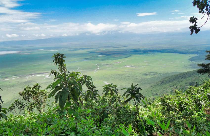 Ein weiter Blick hinunter ins Tal. Die ganze Schönheit des Rift Valley ist zu sehen.