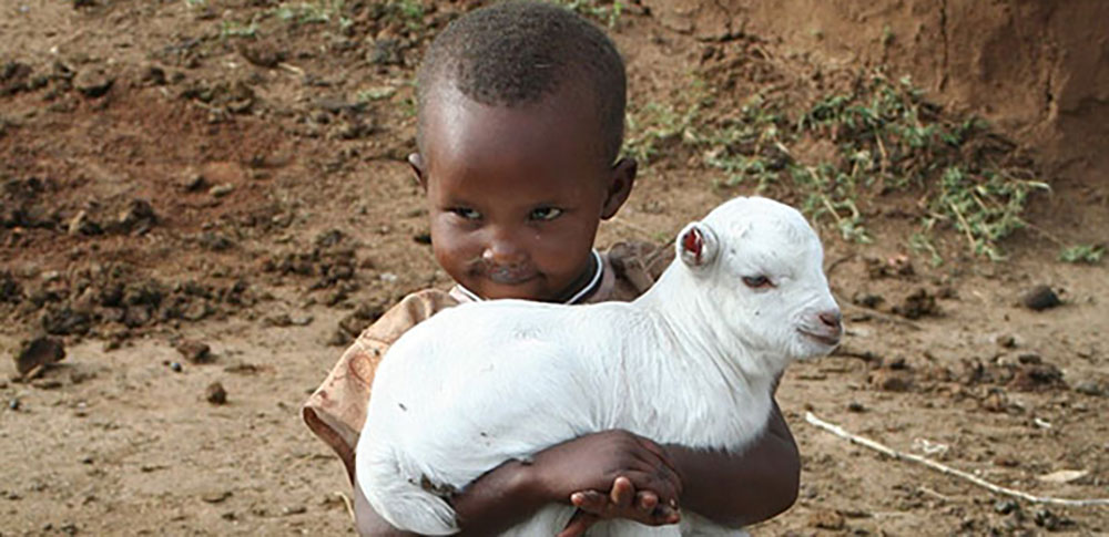 Ein kleines, etwa 3-jähriges afrikanisches Mädchen, das ein weißes Lamm in den Armen hält.